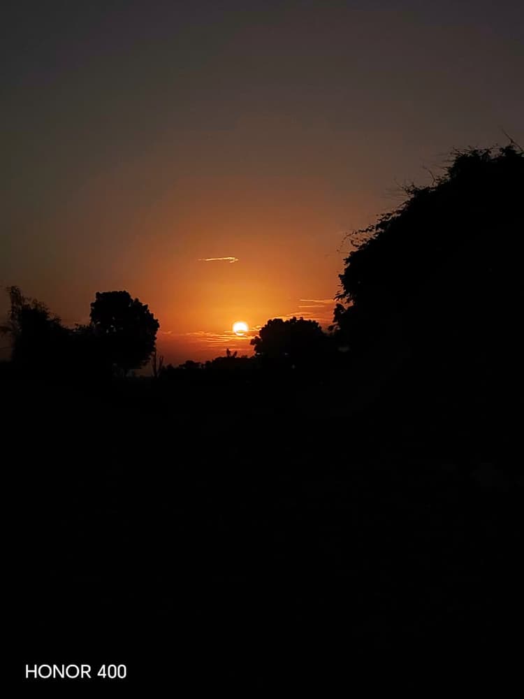 Orange sun setting behind the silhouetted scrub jungle at the end of an evening safari